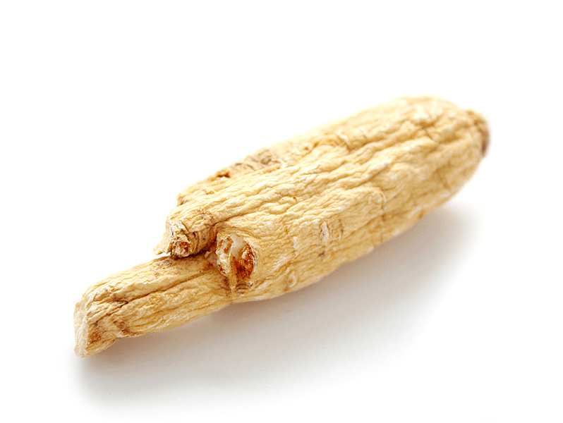 Kořen aralie pro potenci